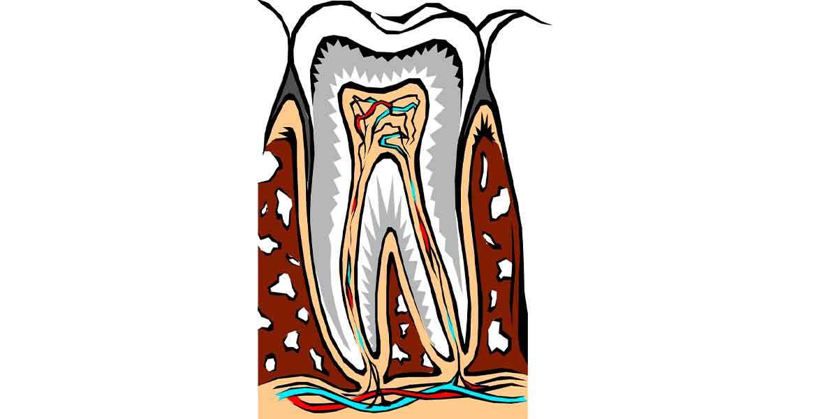 Signs You Need To Call Your Dentist And Schedule An Appointment Now! Part 2 Of 2